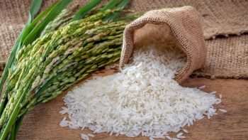 Chứng nhận gạo hữu cơ là gì